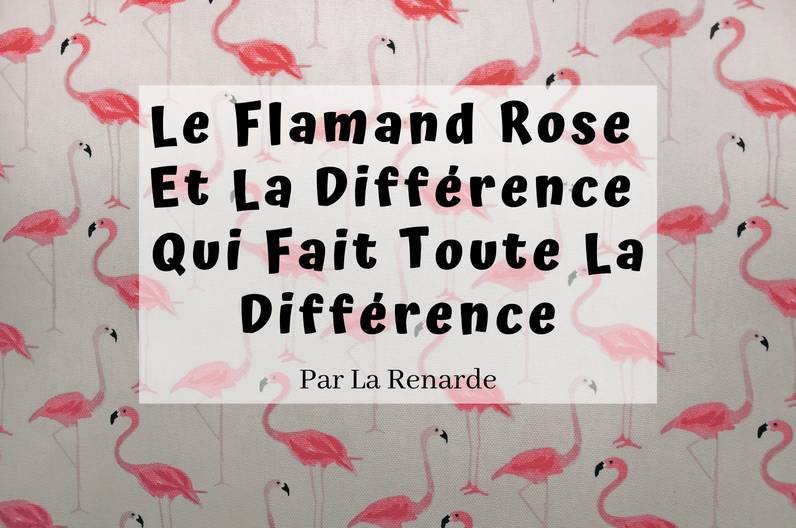 Le Flamand Rose Et La Différence Qui Fait Toute La Différence